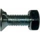 BOULON TF1E M10X30 Naud