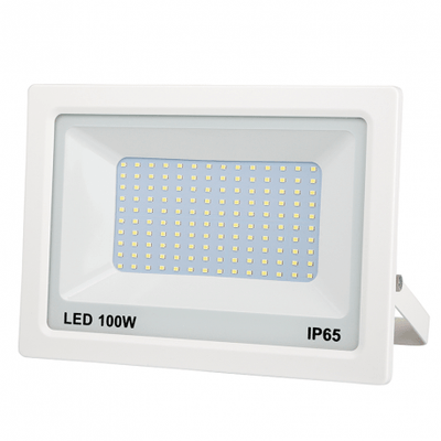 ELECTRICITE ECLAIRAGE PLS* - ELECTRICITE ECLAIRAGE* - Projecteur led 100w blanc