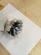 SOUFFLET DE LEVIER BV Landini