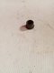 BAGUE METAFRAM C 10*13 Lely