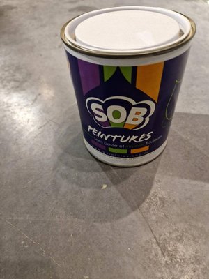 CHIMIE PLS* - PEINTURE* - Peinture BLEU FREMA 1.5KG Frema