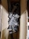 BOULON TF1E 11X50 KIRPY