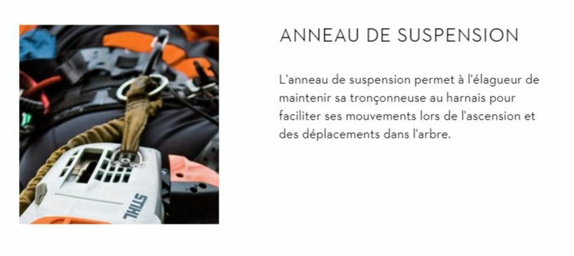 Vente MS 151 TC-E 1/4"P P Tronçonneuse Stihl MS151TC 11462000056 | Cravero,  concessionnaire matériels Volvo-Mecalac Nantes - Rennes - Caen - Niort