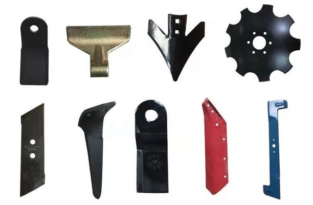 be-article-articleCategory-9a05137a6a8fe0 - image 7