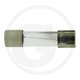 Fusibles en verre 10A, 5 x 20 mm