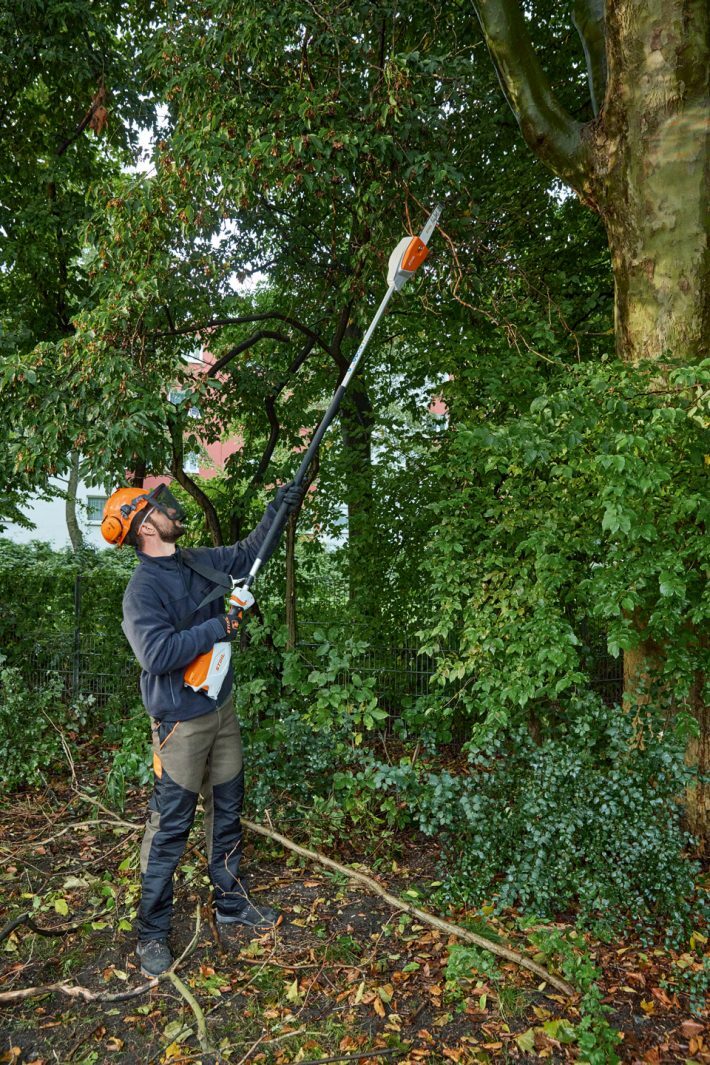 Perche d'ébranchage HTA 135 STIHL