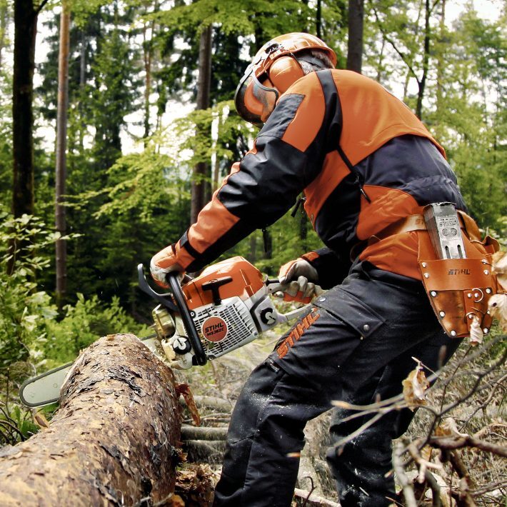 Tronçonneuse thermique MS 231 Stihl