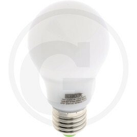 ELECTRICITE ECLAIRAGE PLS* - ELECTRICITE ECLAIRAGE* - Ampoule economique E30
