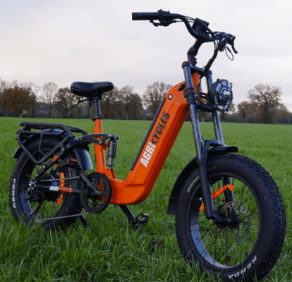VÉHICULE UTILITAIRE - 2 ROUES - Vélo électrique Agricycles VAE CR20