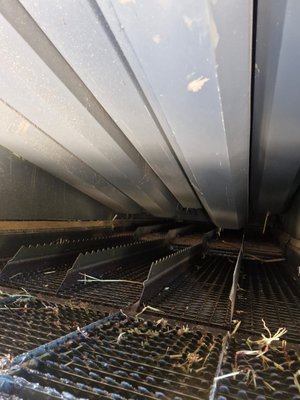 Moissonneuse batteuse Massey Ferguson 7260 AL-4