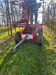 Arboriculture - autre Rosatello COLUMBIA MINI - 6