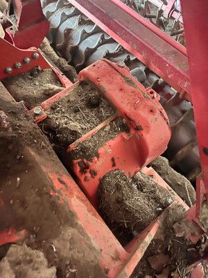 Semoir à grains MASCHIO GASPARDO Combiné de semis 